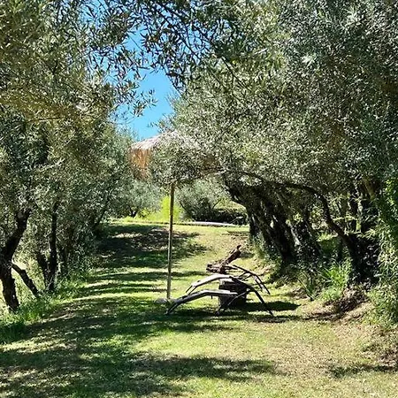 Isola Del Pittore Fienile Di Storica Grassina