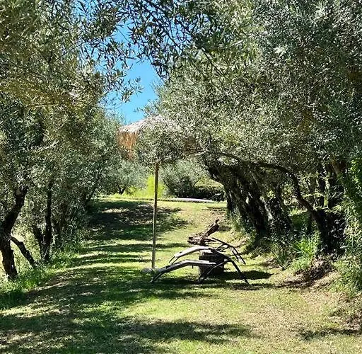 Isola Del Pittore Fienile Di Storica Grassina